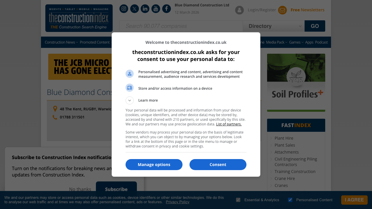 BLUE DIAMOND CONSTRUCTION LIMITED website preview