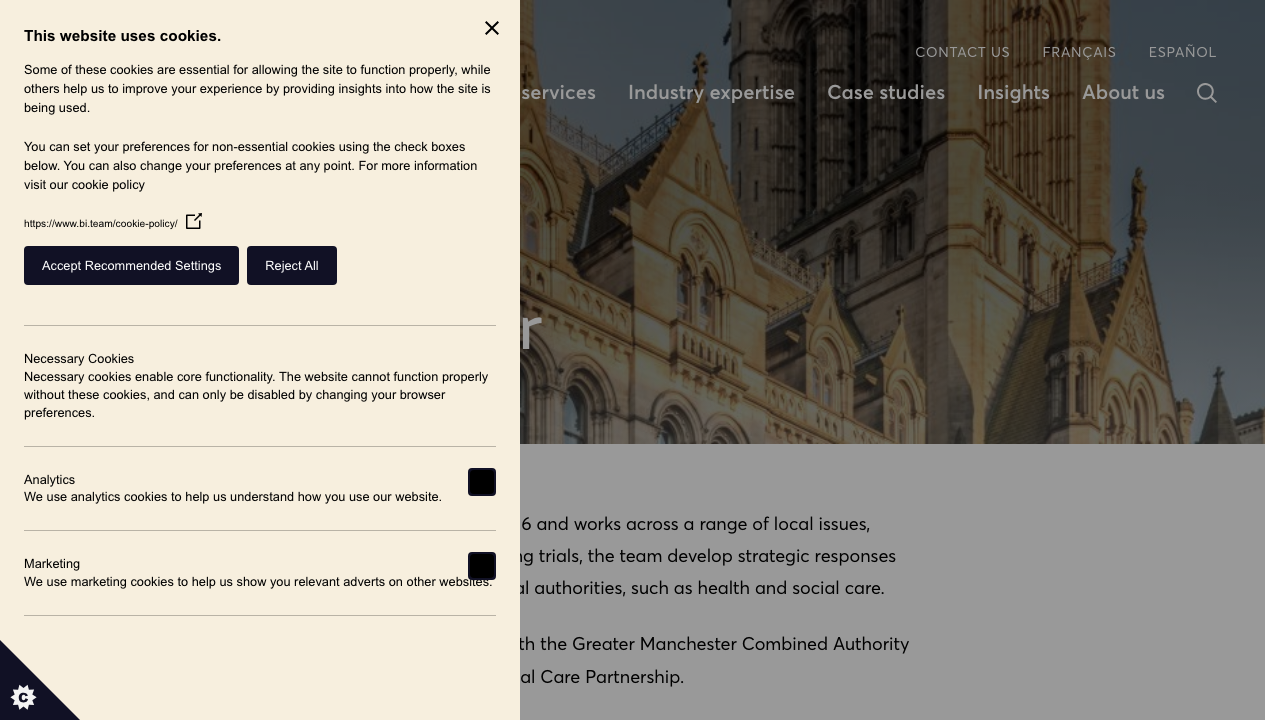 BIVE CONSULTANCY LTD website preview