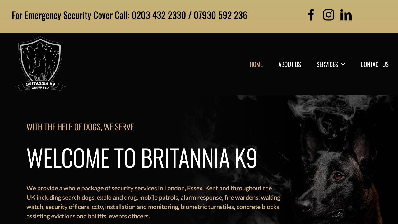 BR K9 SECURITY LTD website preview