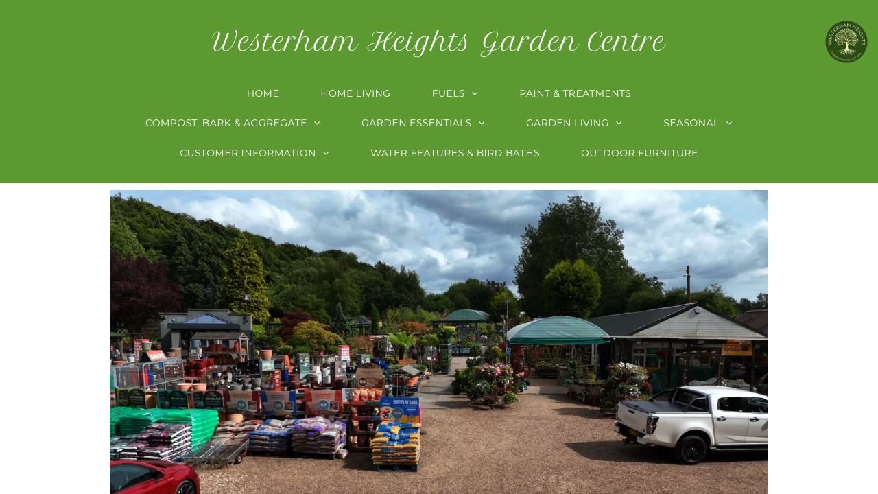 BIG IN GARDENS LTD website preview