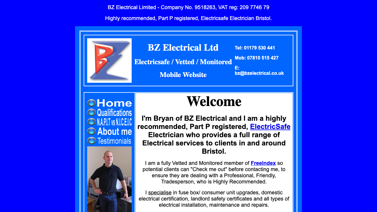 BZ ELECTRICAL LIMITED website preview