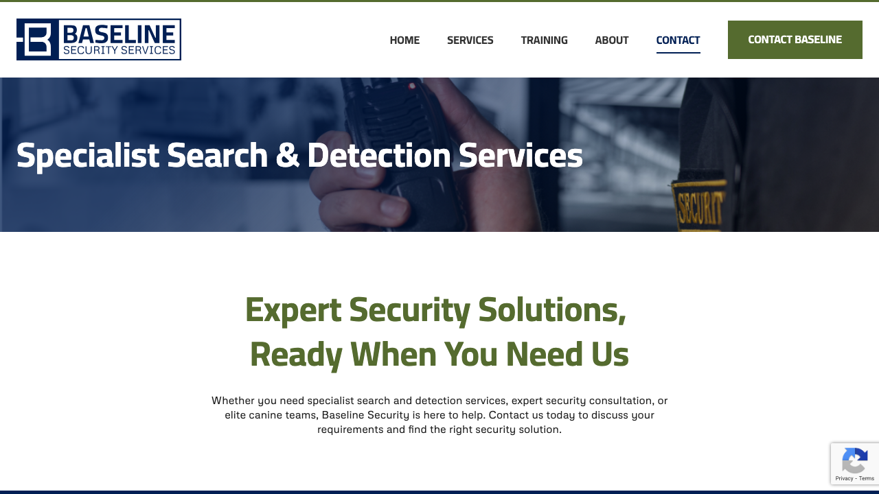 BASELINE SECURITY SERVICES LTD website preview