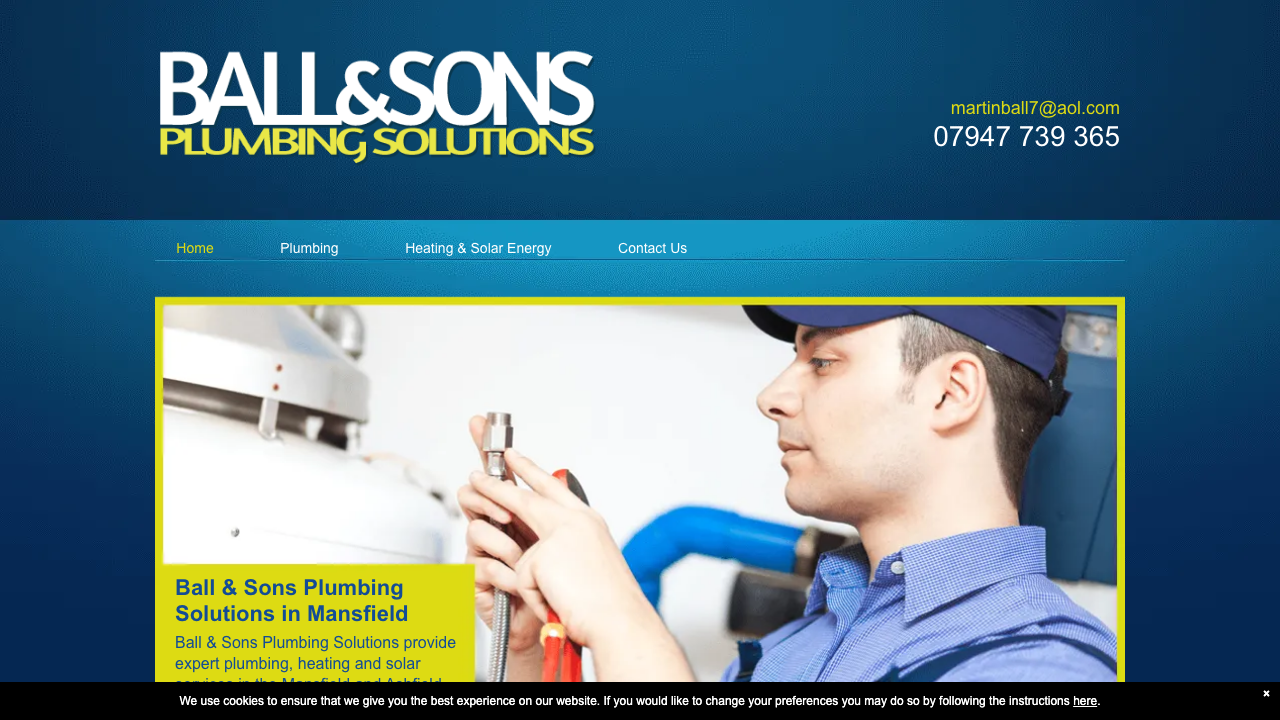 BALL AND SONS LIMITED website preview