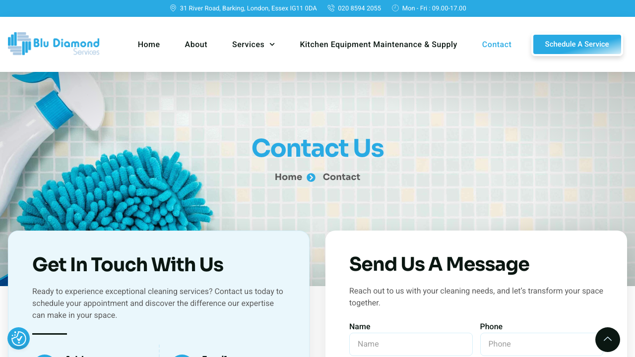 BLUE DIAMONDS DRYLINNING SERVICES LTD website preview