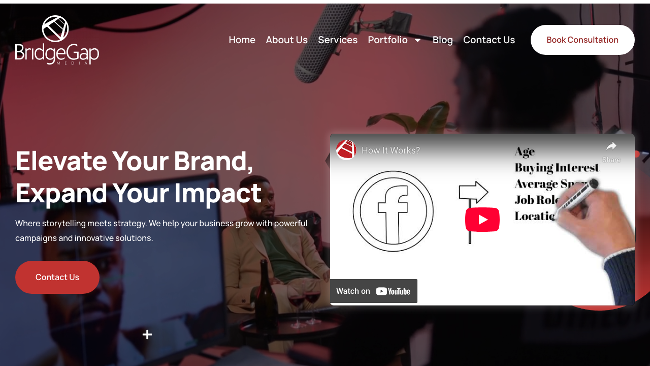 BRIDGEGAP LIMITED website preview