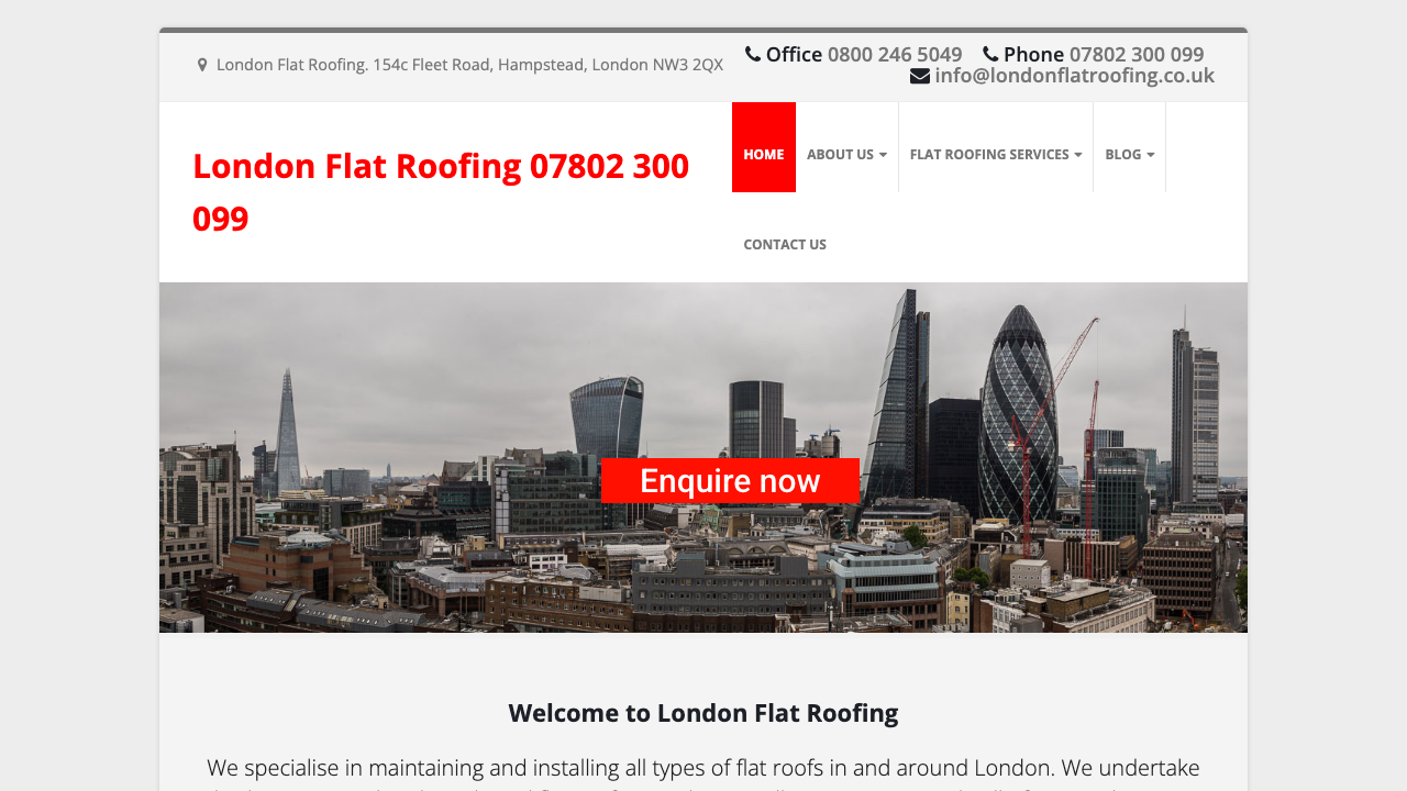 BYRON WARD FLAT ROOFING LTD website preview