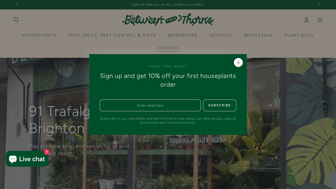 BETWEEN TWO THORNS LTD website preview