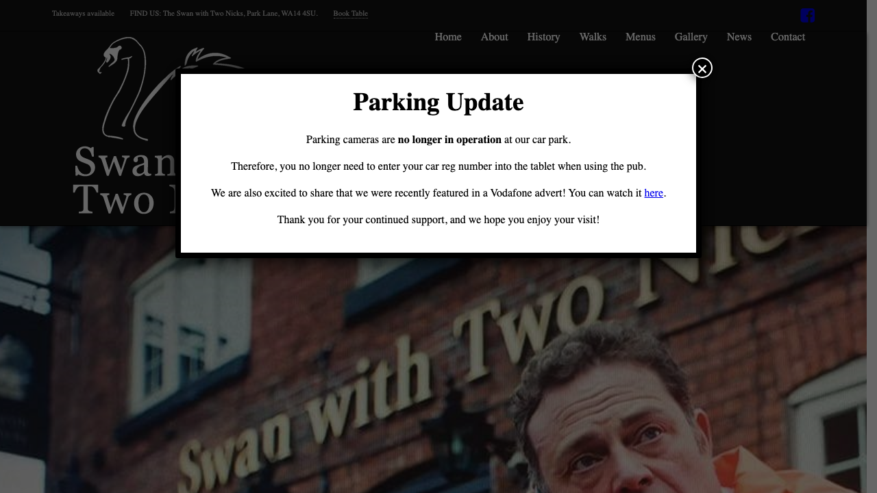 2 NICKS LIMITED website preview