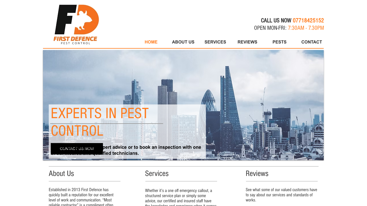 1ST DEFENCE LTD website preview