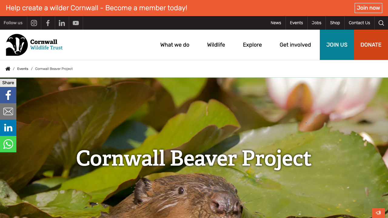 BEAVER (UK) LIMITED website preview