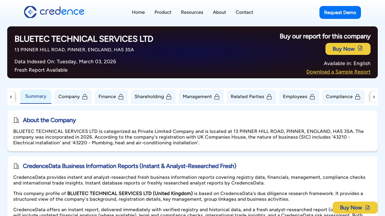 BLUETEC TECHNICAL SERVICES LTD website preview