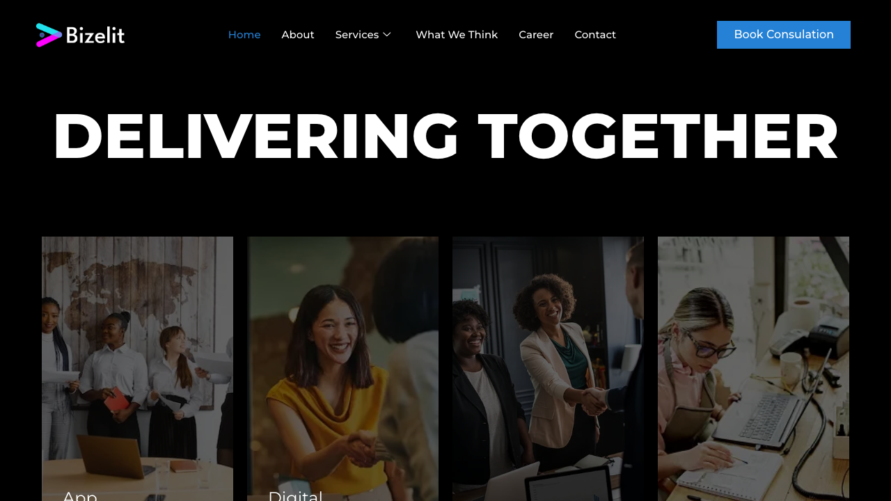 BIZELIT LTD. website preview