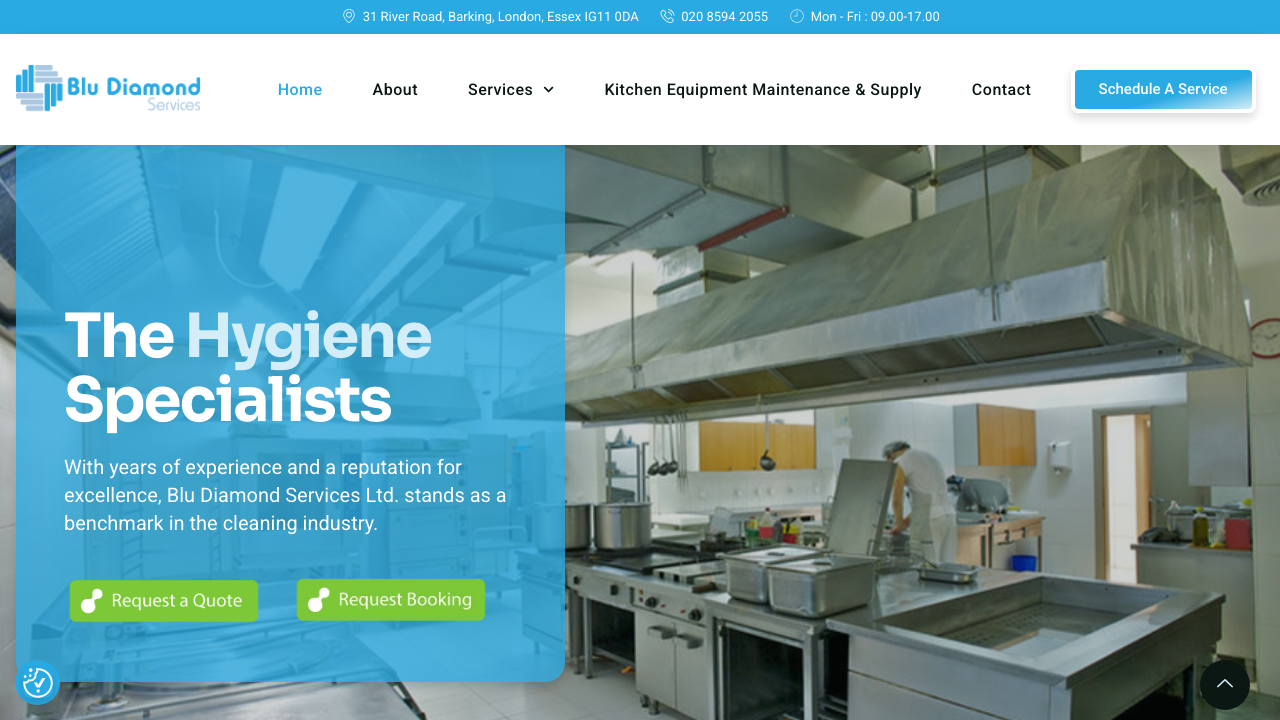 BLU DIAMOND SERVICES LIMITED website preview