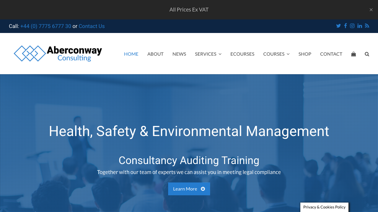 CARIAD WIND CONSULTING LTD. website preview