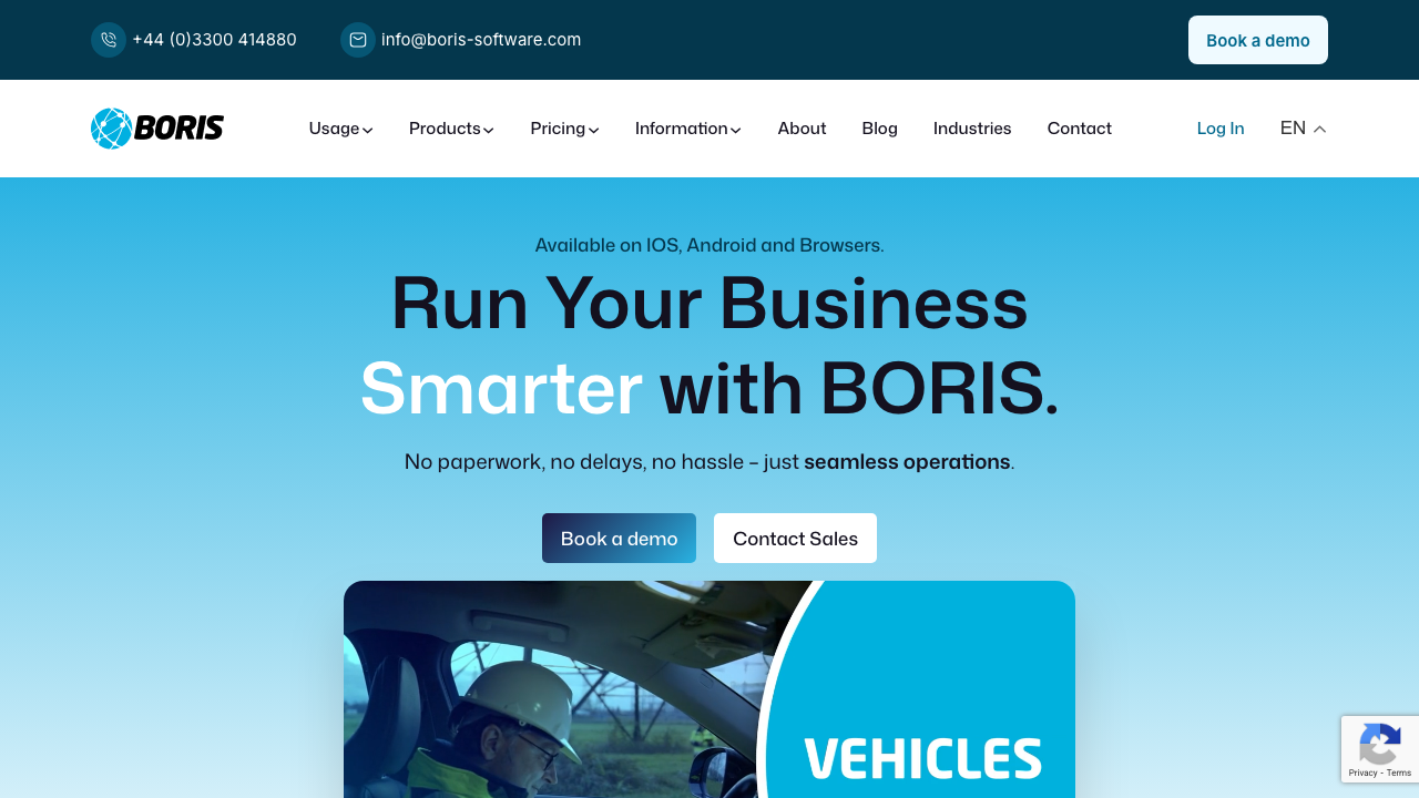 BORIS PRO SERVICES LTD website preview