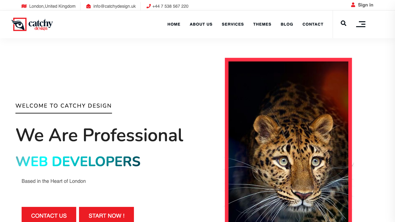 CATCHYDESIGN LTD website preview