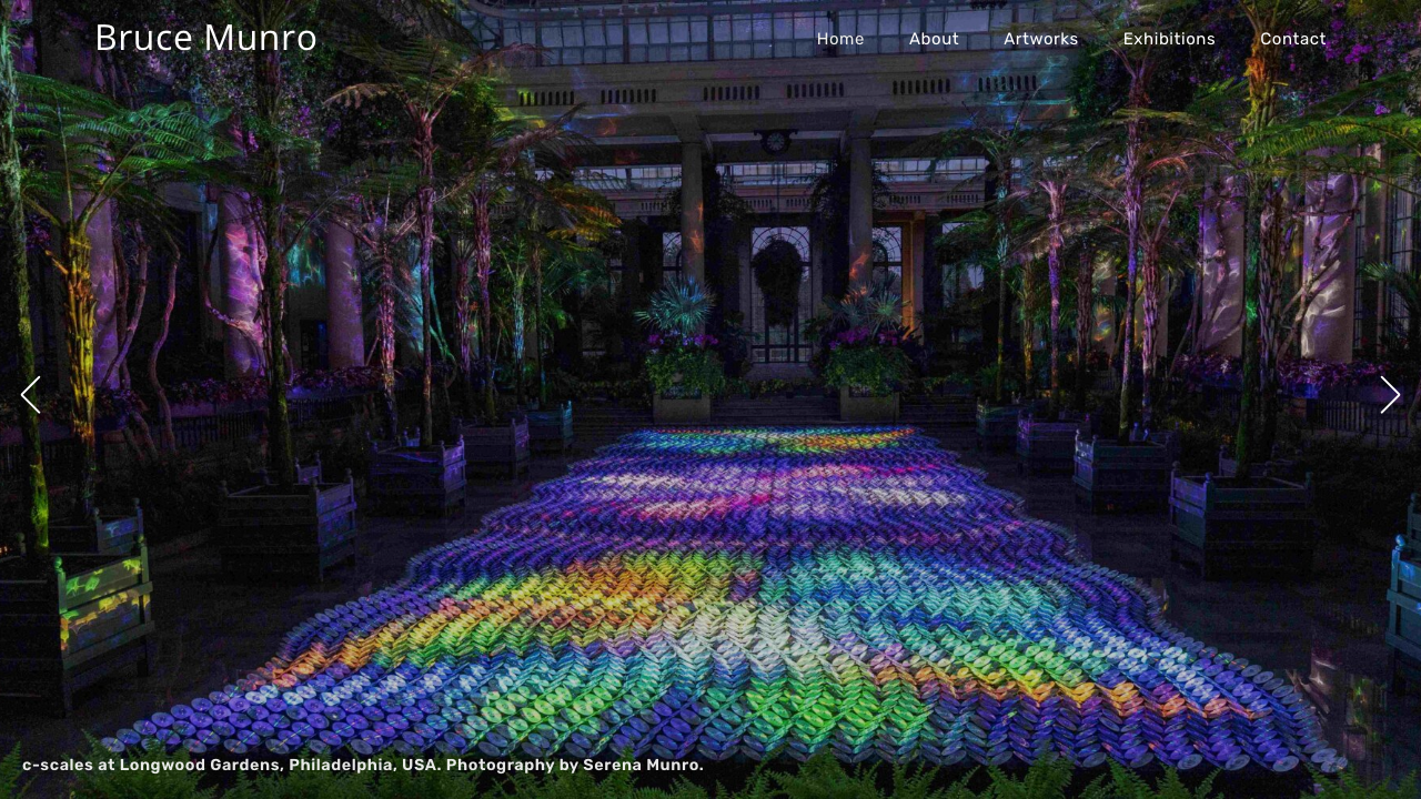 BRUCE MUNRO LTD website preview