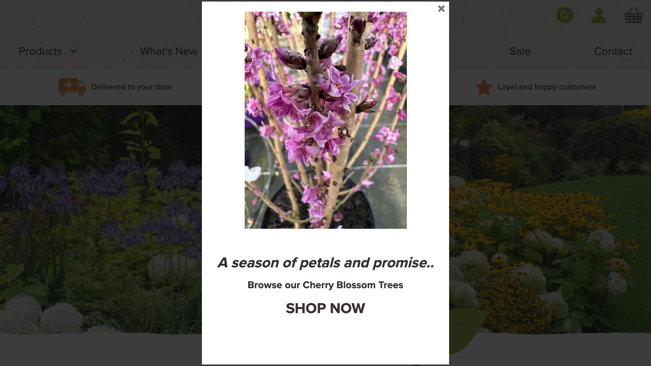 CHARELLA GARDENS LIMITED website preview