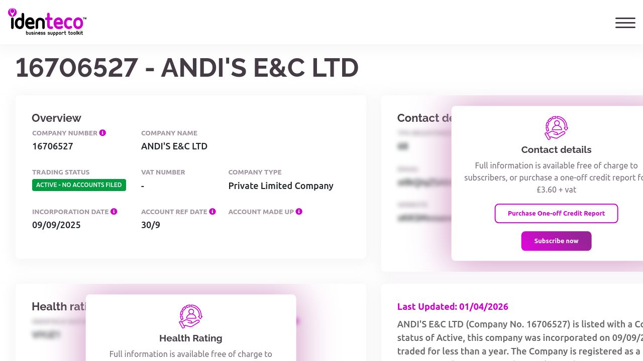 ANDI'S E&C LTD website preview