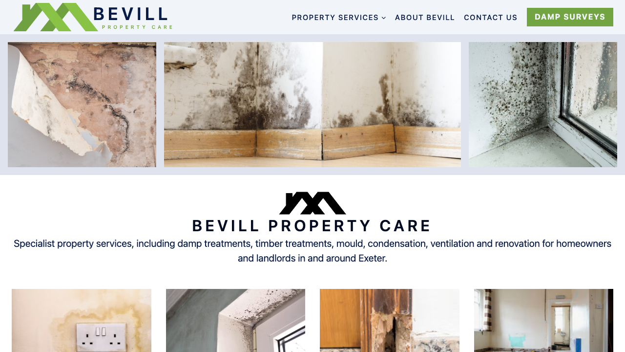 BEVILL SW LTD website preview