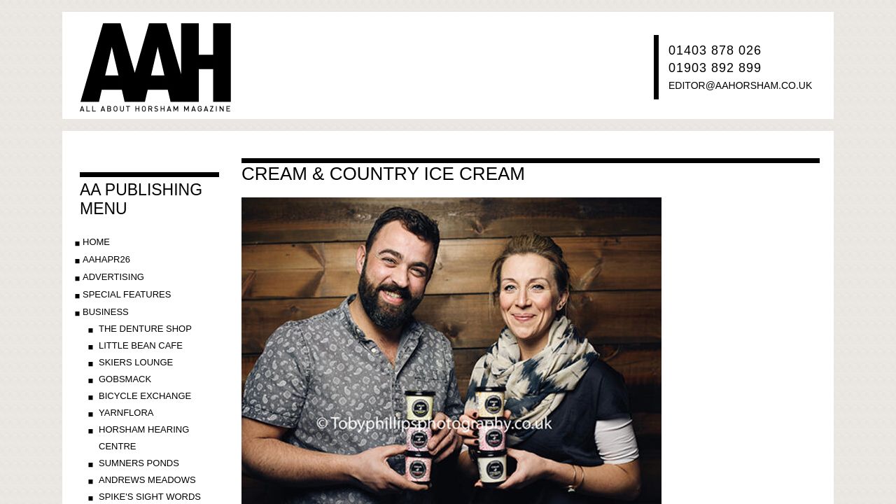 ICE CREAM CREATIVE LTD website preview