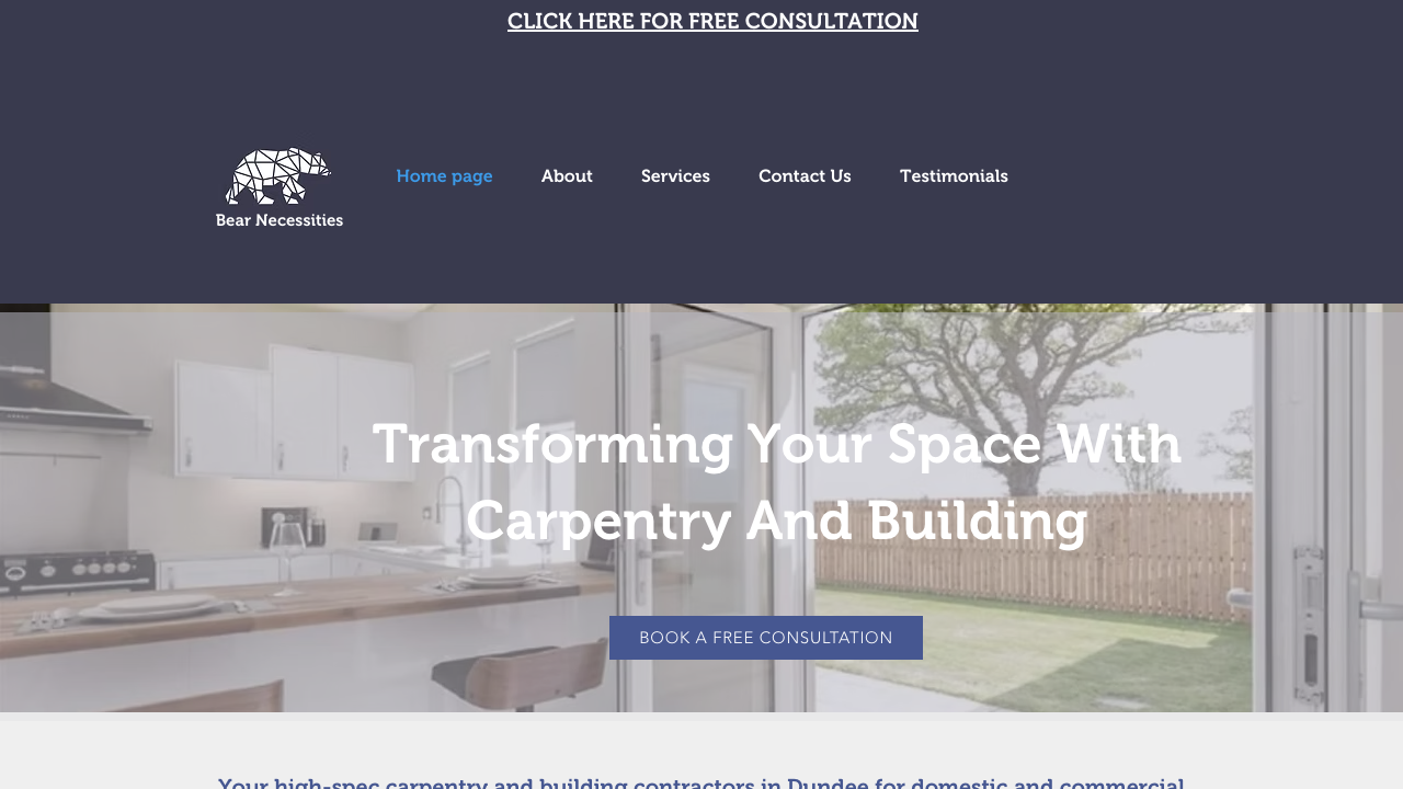 BEAR NECESSITIES BUILDING SOLUTIONS LTD website preview