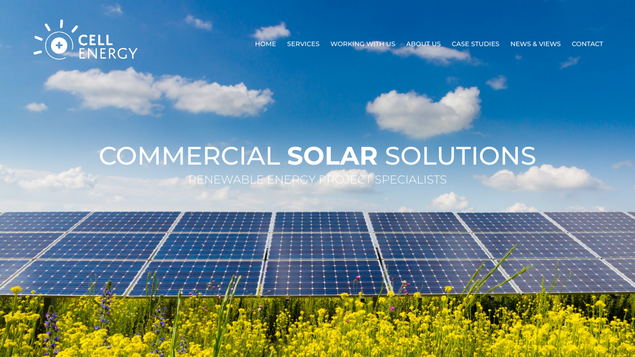 CELL ENERGY LIMITED website preview
