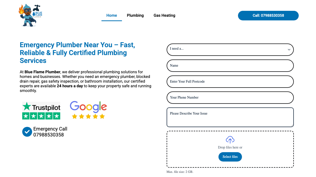 BLUE FLAME PLUMBERS LTD website preview