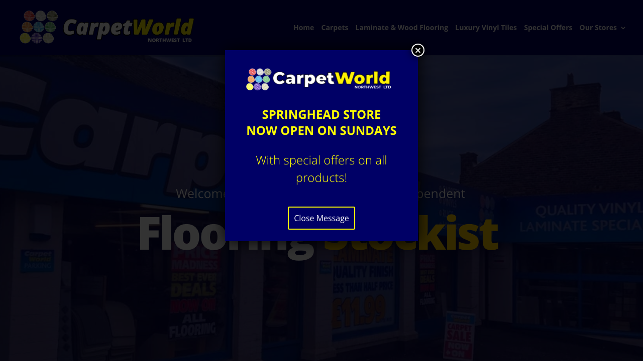 CARPETWORLD NORTH WEST LTD website preview