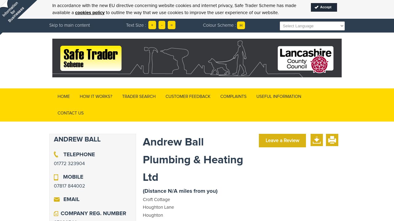 ANDREW BALL PLUMBING & HEATING LTD website preview