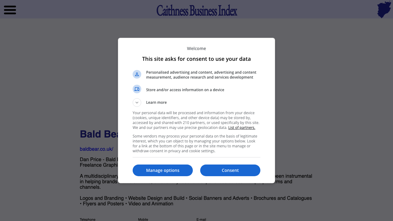 BALD BEAR LTD website preview