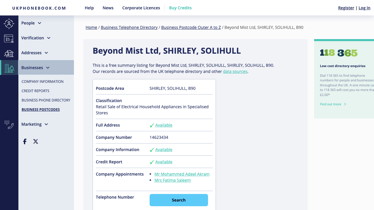 BEYOND MIST LTD website preview