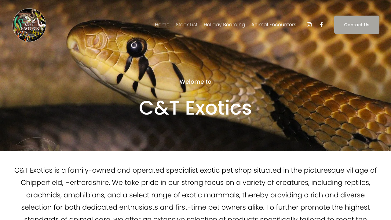 C&T EXOTICS LTD website preview
