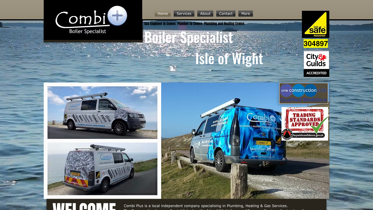 BOILER PLUS LTD website preview