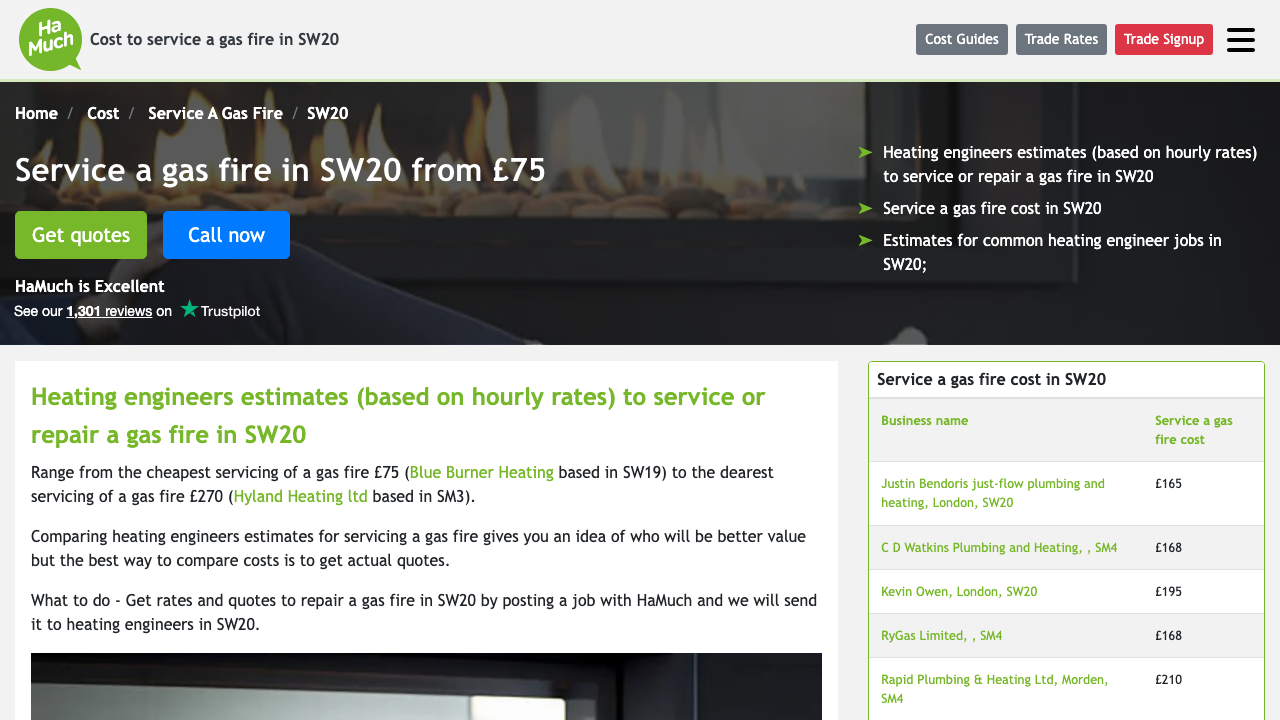 BLUE BURNER SUTTON LTD website preview