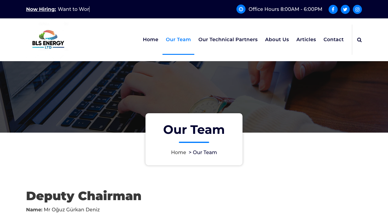 BLS ELECTRICAL LTD website preview