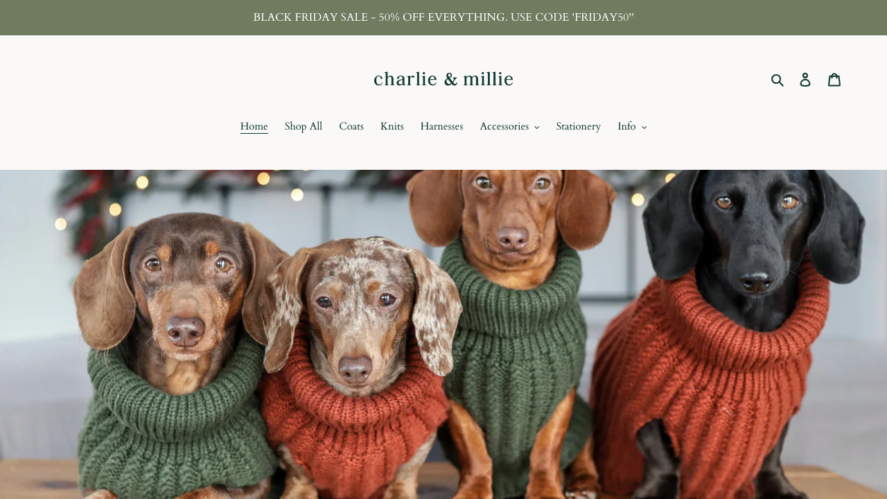 CHARLIE AND MILLIE CO LTD website preview
