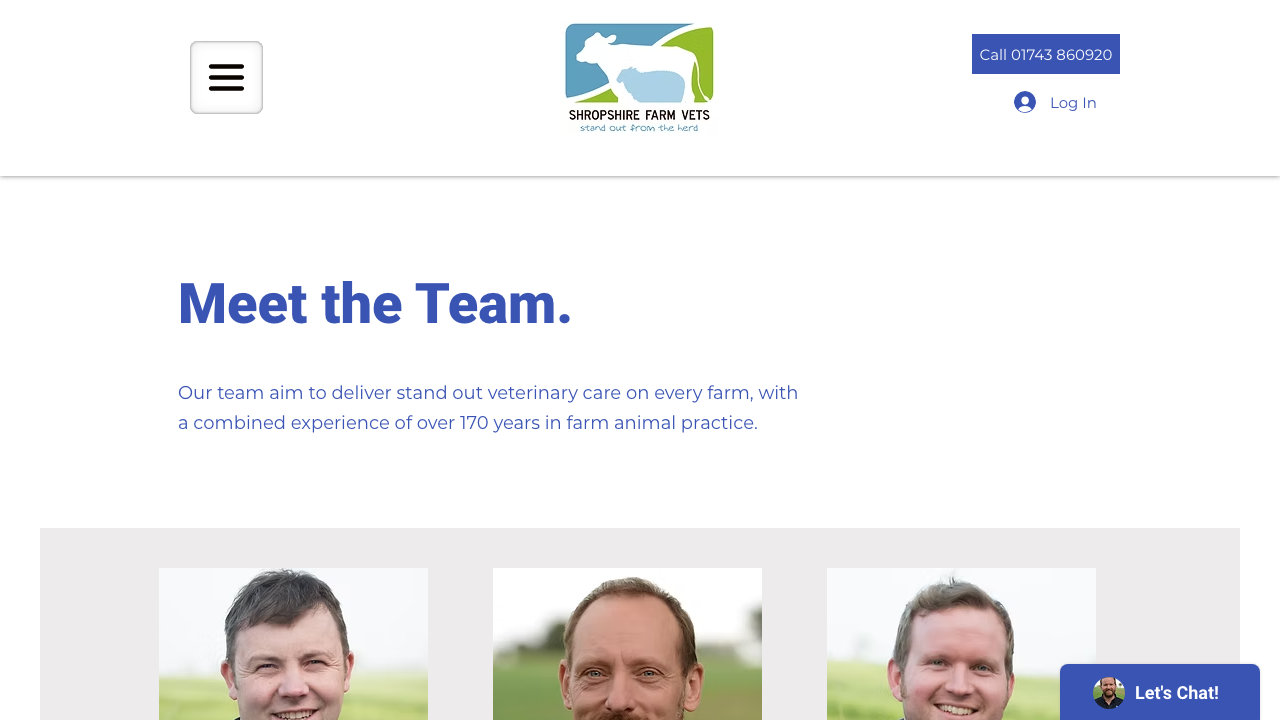 BOGDAR LTD website preview