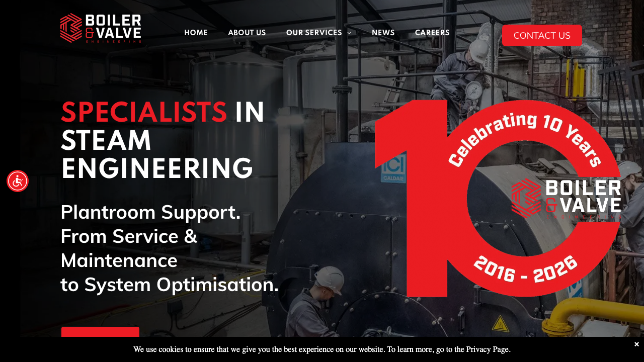 BOILER AND VALVE ENGINEERING LIMITED website preview