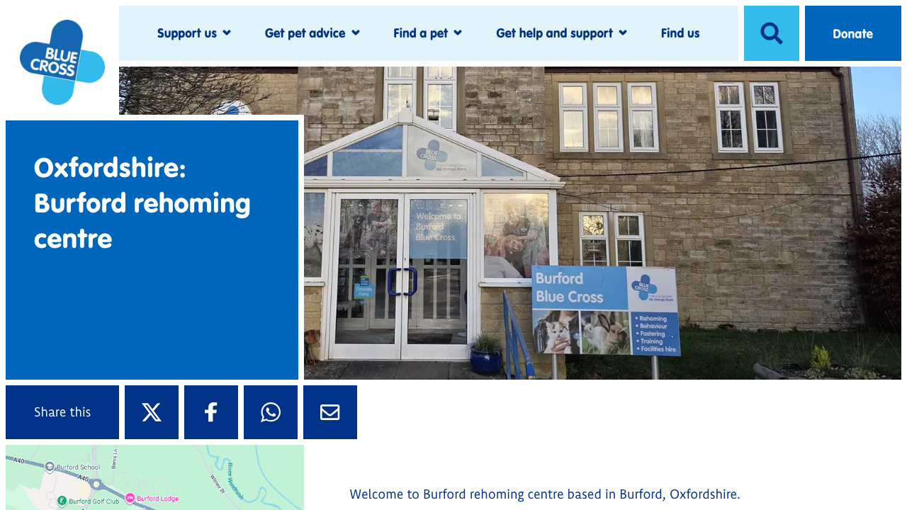 BLUE CROSS (D&B) COMPANY LIMITED website preview
