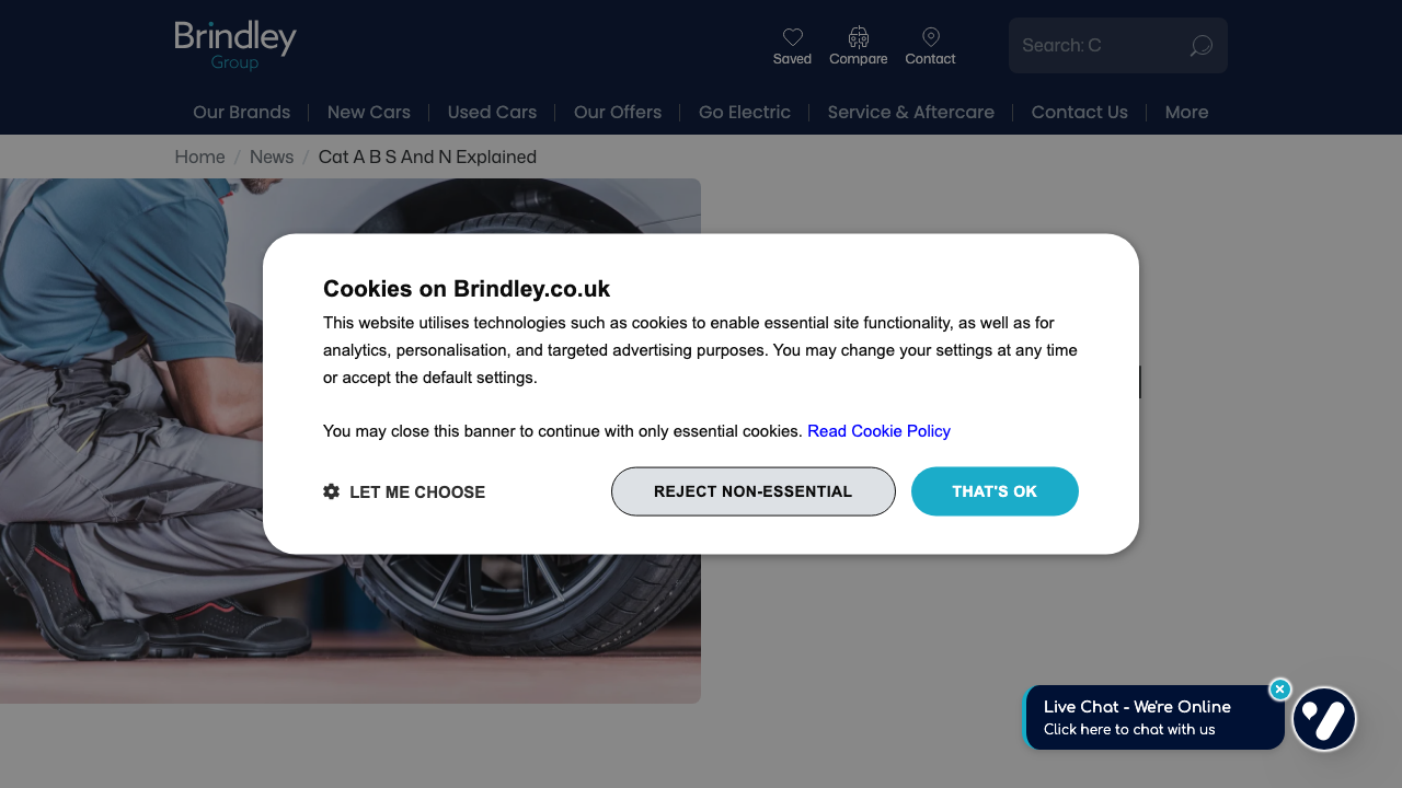 CAT-A LTD website preview