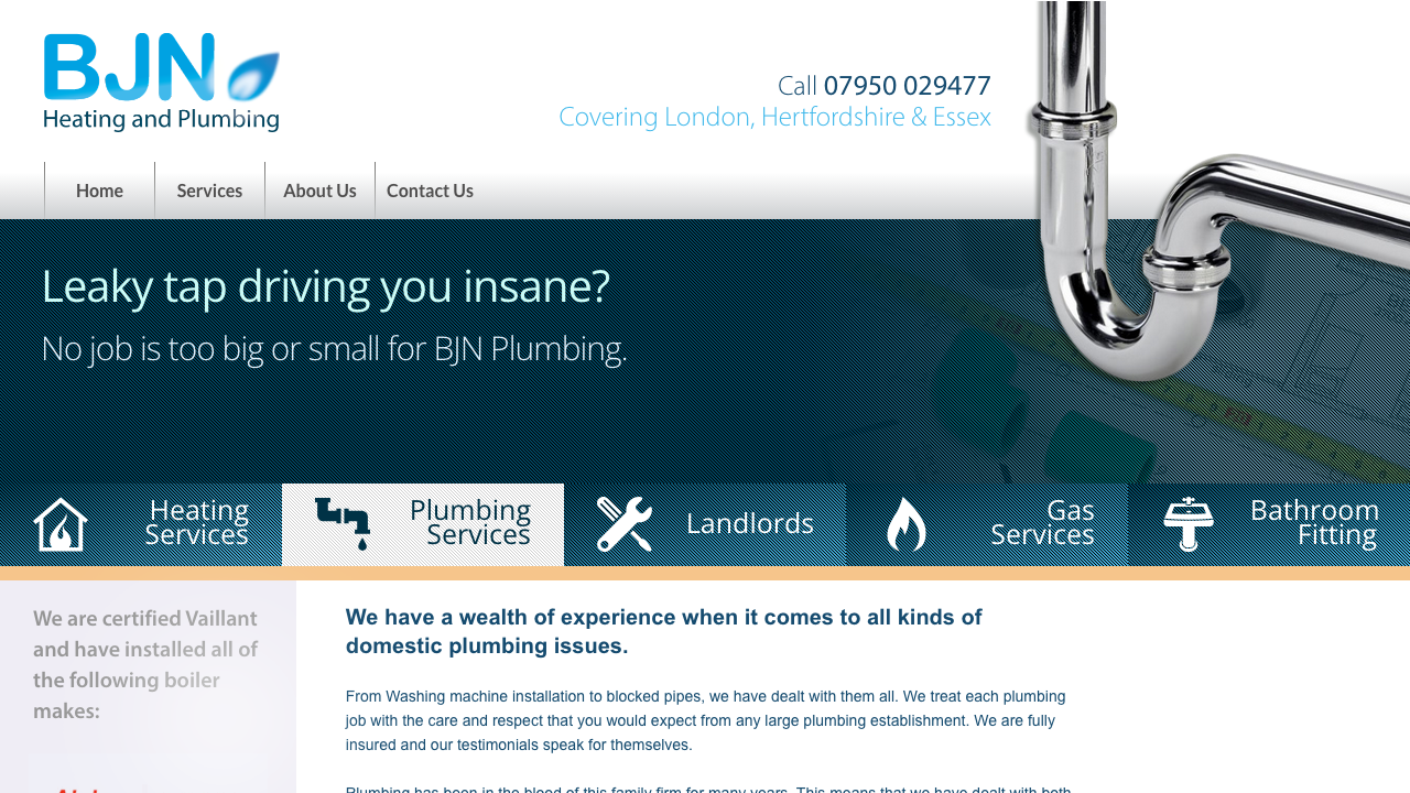 BJN HEATING + PLUMBING LTD website preview