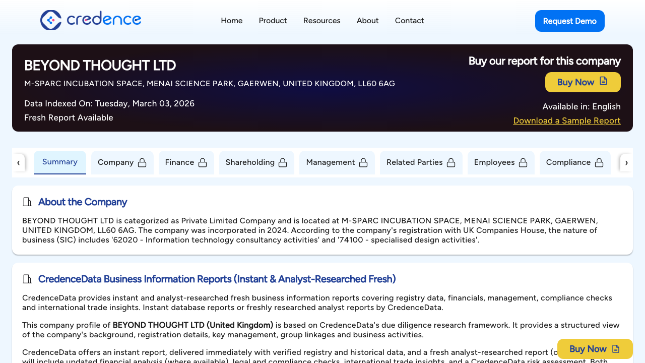 BEYOND THOUGHT LTD website preview