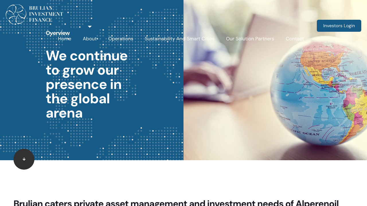 BRULIAN INVESTMENT FINANCE LTD website preview