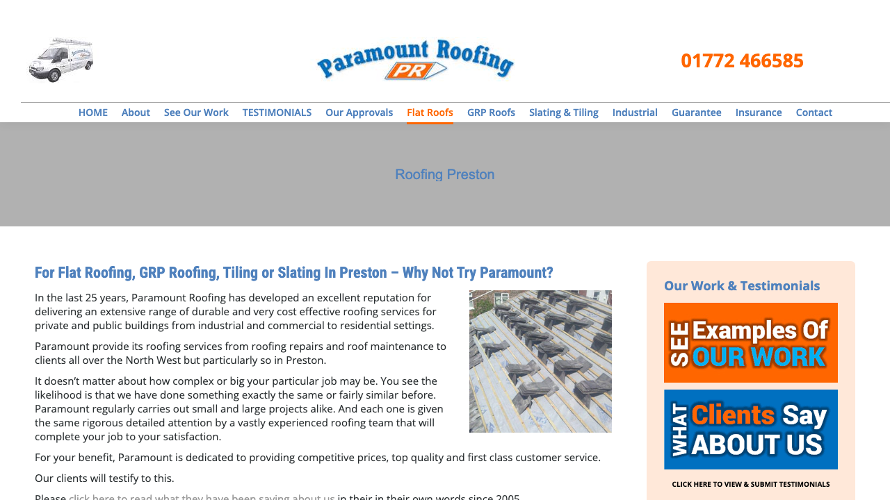 .AA PARAMOUNT ROOFING LIMITED website preview