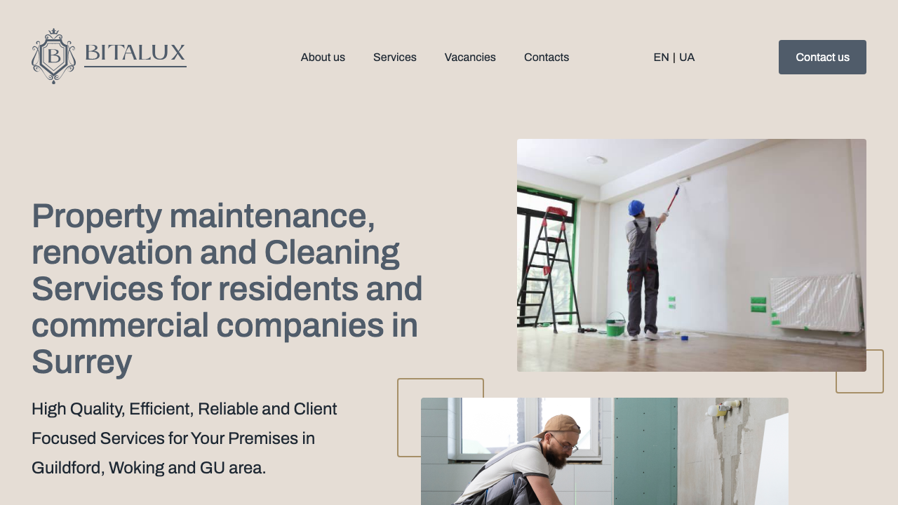 BITALUX LIMITED website preview
