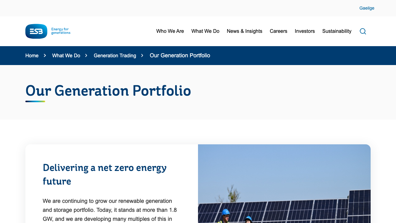 CASTLEGORE WIND FARM LTD website preview