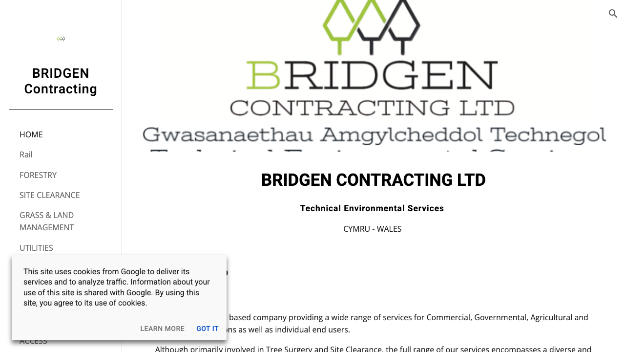 BRIDGEN CONTRACTING LTD website preview