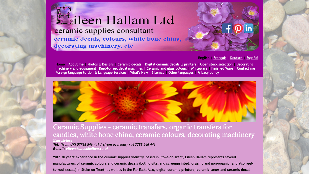 EILEEN HALLAM LIMITED website preview