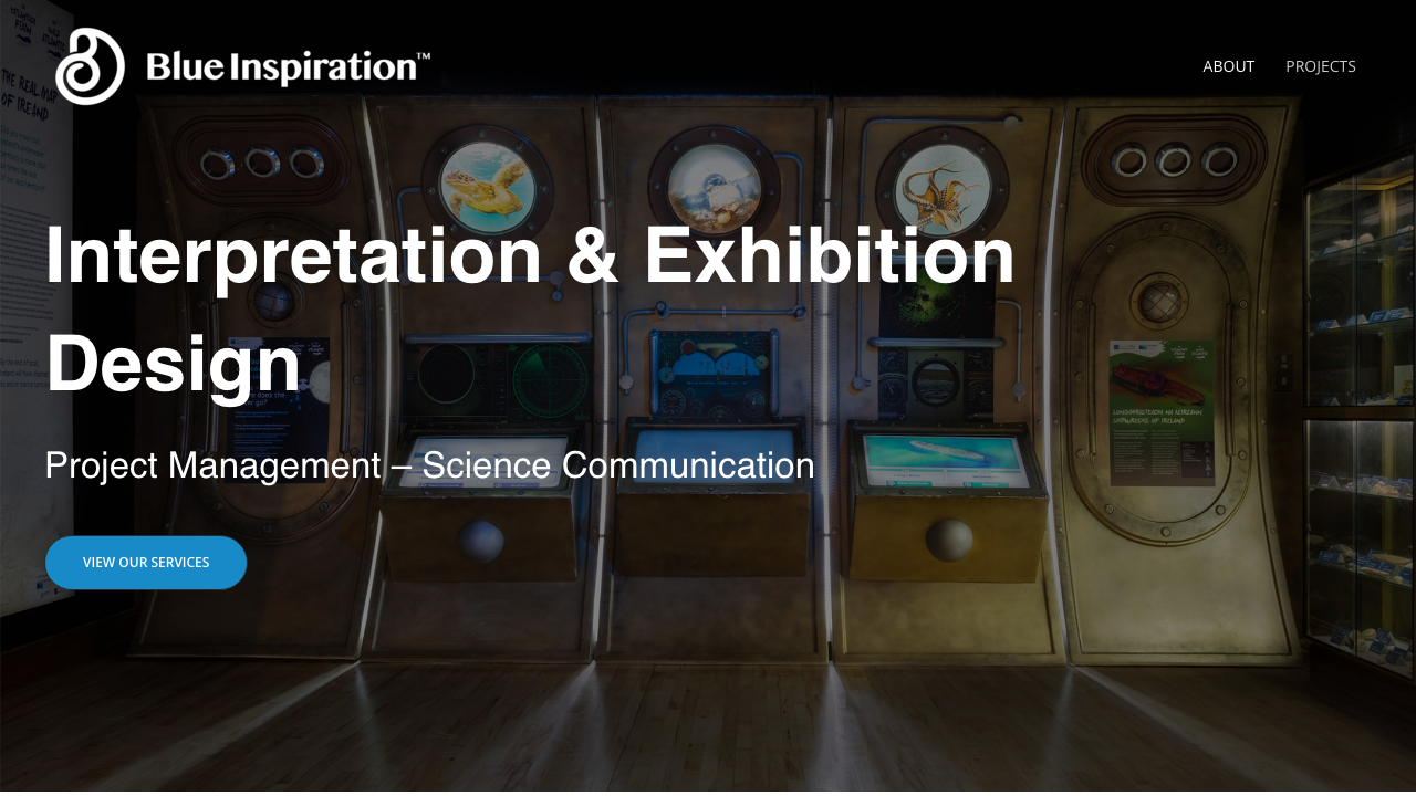 BLUE INSPIRATION LTD website preview